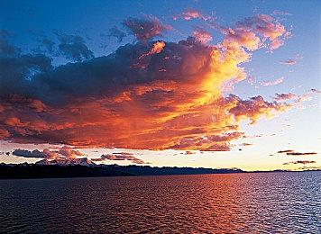 日本玩家地铁站掏出PSP玩怪猎 旁边小学生议论假货Switch